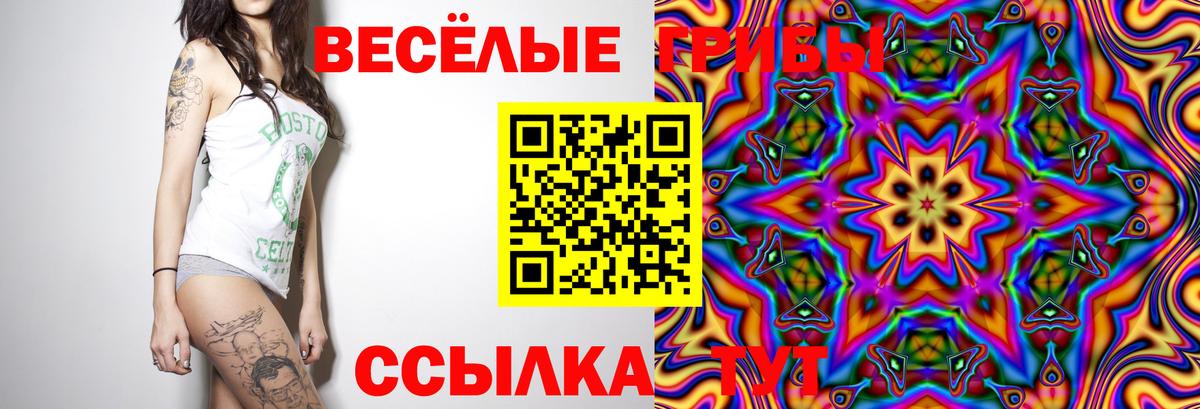 Галлюциногенные грибы Magic Shrooms  Усолье-Сибирское 