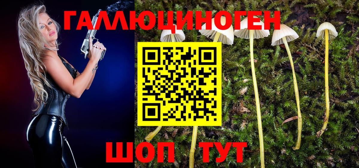 Псилоцибиновые грибы Psilocybine cubensis  Вход с VPN  Усолье-Сибирское 